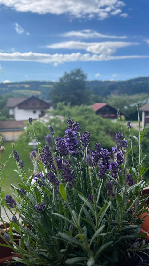Ferienwohnung Alpseeliebe Immenstadt im Allgäu Exterior foto
